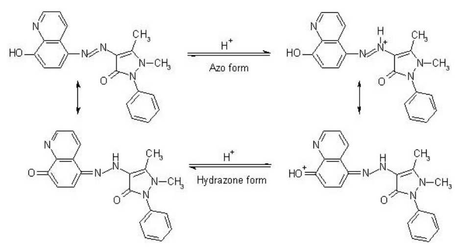 8-quinolin-5-azoantipyrine