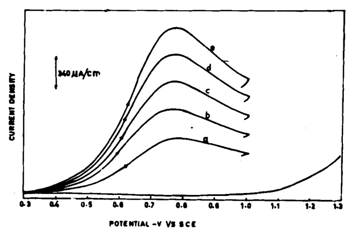 Para aminophenol