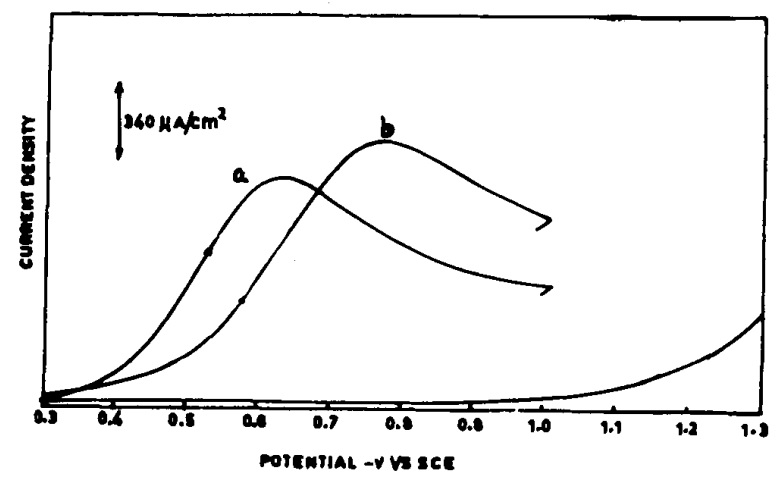 Para aminophenol