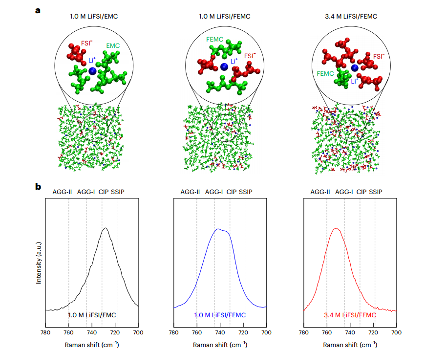 Lithium batteries with enhanced electrilyte