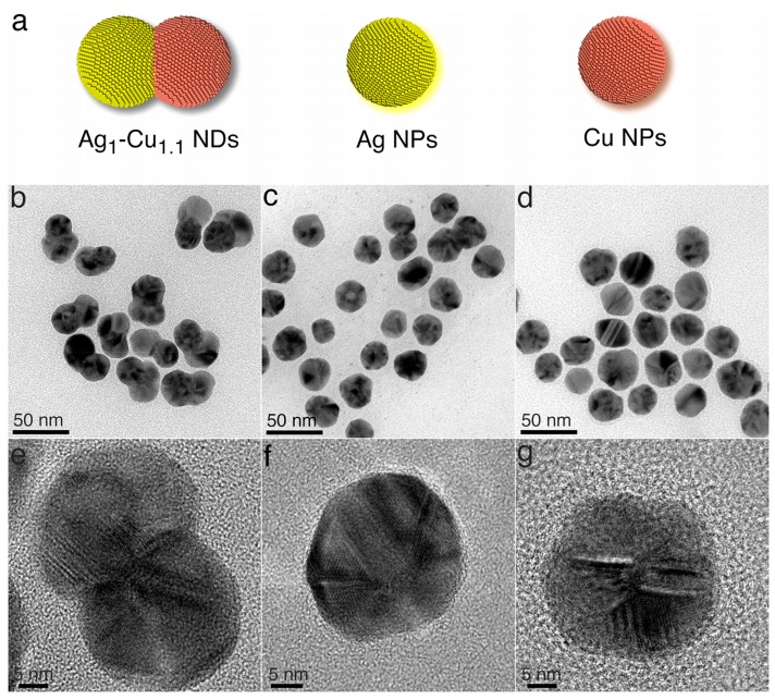 carbon dioxide syngas